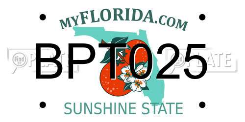 BPT025 Florida License Plate