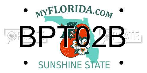 BPT02B Florida License Plate