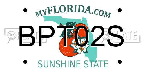 BPT02S Florida License Plate