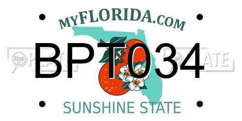 BPT034 Florida License Plate