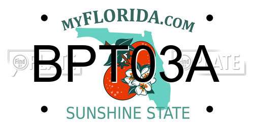 BPT03A Florida License Plate