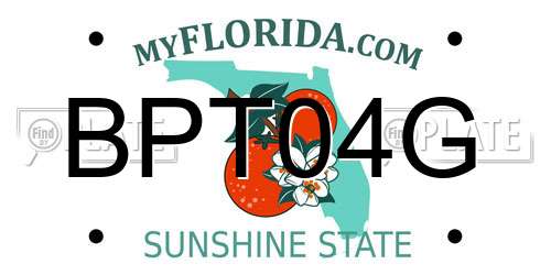 BPT04G Florida License Plate