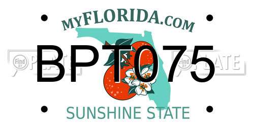 BPT075 Florida License Plate