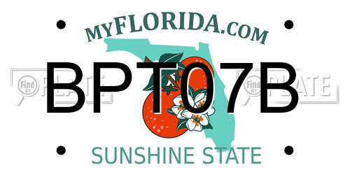 BPT07B Florida License Plate