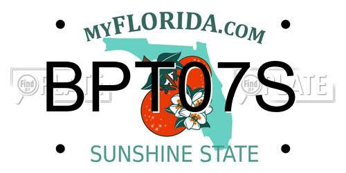 BPT07S Florida License Plate