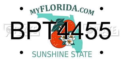 BPT4455 Florida License Plate