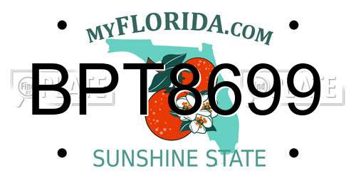 BPT8699 Florida License Plate