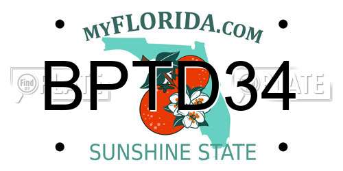 BPTD34 Florida License Plate