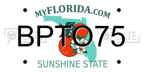 BPTO75 Florida License Plate
