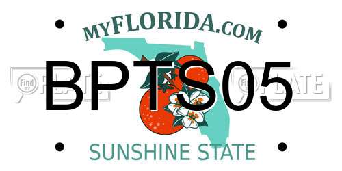 BPTS05 Florida License Plate