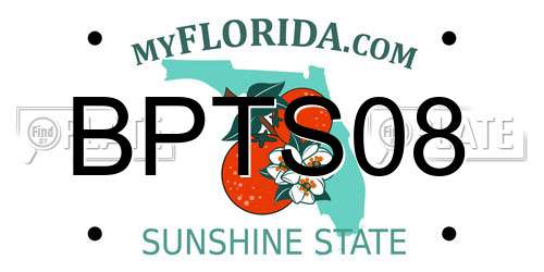 BPTS08 Florida License Plate
