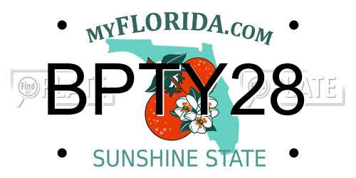 BPTY28 Florida License Plate
