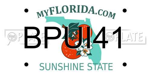 BPUI41 Florida License Plate