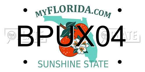 BPUX04 Florida License Plate