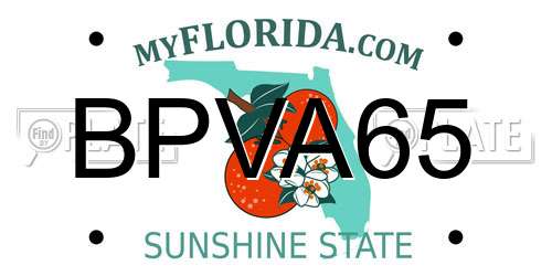 BPVA65 Florida License Plate