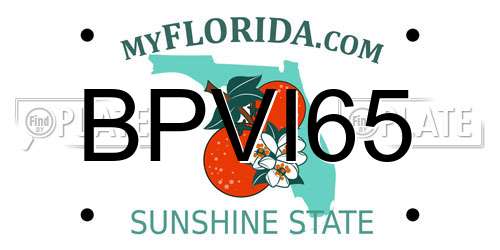 BPVI65 Florida License Plate