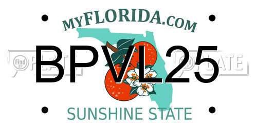 BPVL25 Florida License Plate