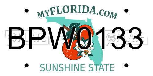 BPW0133 Florida License Plate