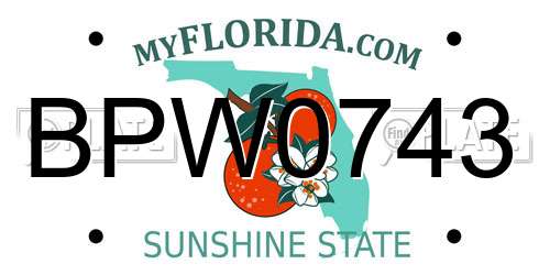 BPW0743 Florida License Plate