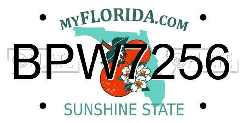 BPW7256 Florida License Plate