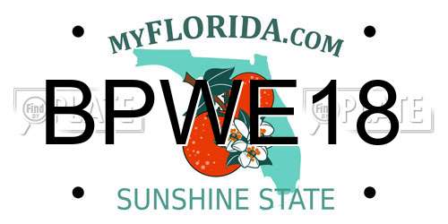 BPWE18 Florida License Plate
