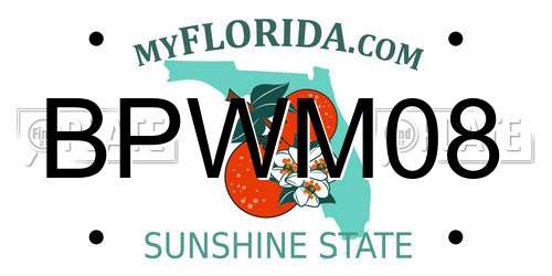 BPWM08 Florida License Plate