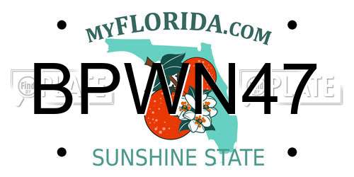 BPWN47 Florida License Plate