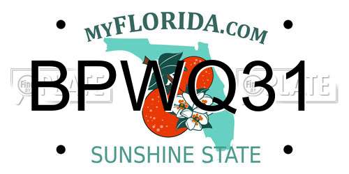 BPWQ31 Florida License Plate