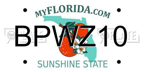 BPWZ10 Florida License Plate