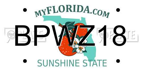 BPWZ18 Florida License Plate