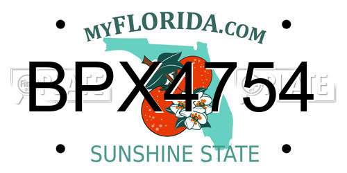 BPX4754 Florida License Plate
