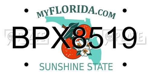 BPX8519 Florida License Plate