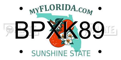 BPXK89 Florida License Plate