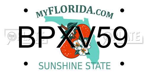 BPXV59 Florida License Plate