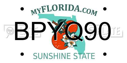 BPYQ90 Florida License Plate