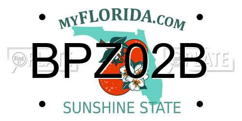 BPZ02B Florida License Plate