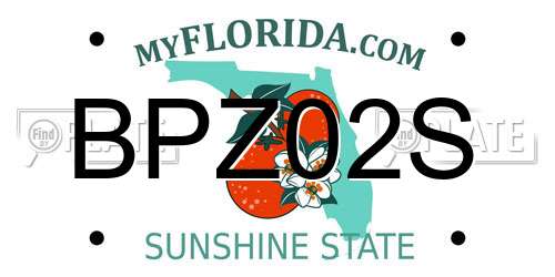 BPZ02S Florida License Plate