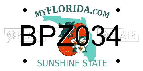 BPZ034 Florida License Plate