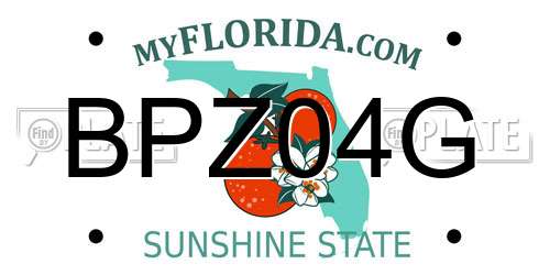 BPZ04G Florida License Plate