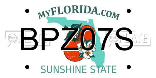 BPZ07S Florida License Plate