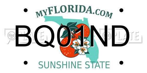 BQ01ND Florida License Plate