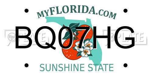 BQ07HG Florida License Plate