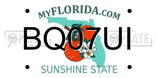 BQ07UI Florida License Plate