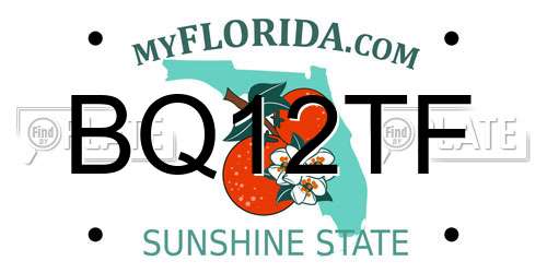 BQ12TF Florida License Plate