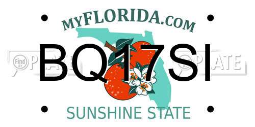 BQ17SI Florida License Plate