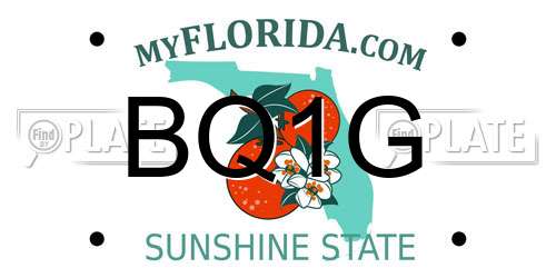BQ1G Florida License Plate