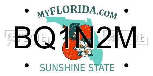 BQ1N2M Florida License Plate