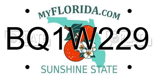 BQ1W229 Florida License Plate