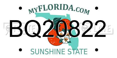 BQ20822 Florida License Plate