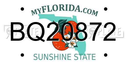 BQ20872 Florida License Plate